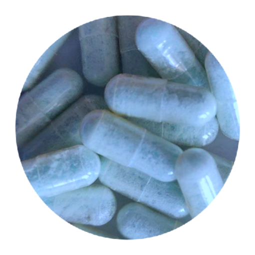 Blue Dolphin MDMA Capsules Blue Dolphin MDMA Capsules