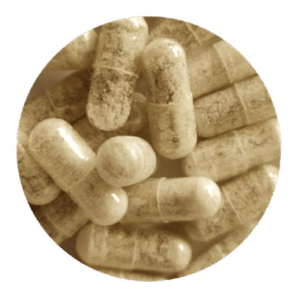 Limitless MDMA Capsules