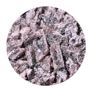Purple Moonrock Molly