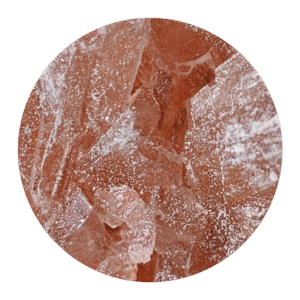 Pink Rhino Molly